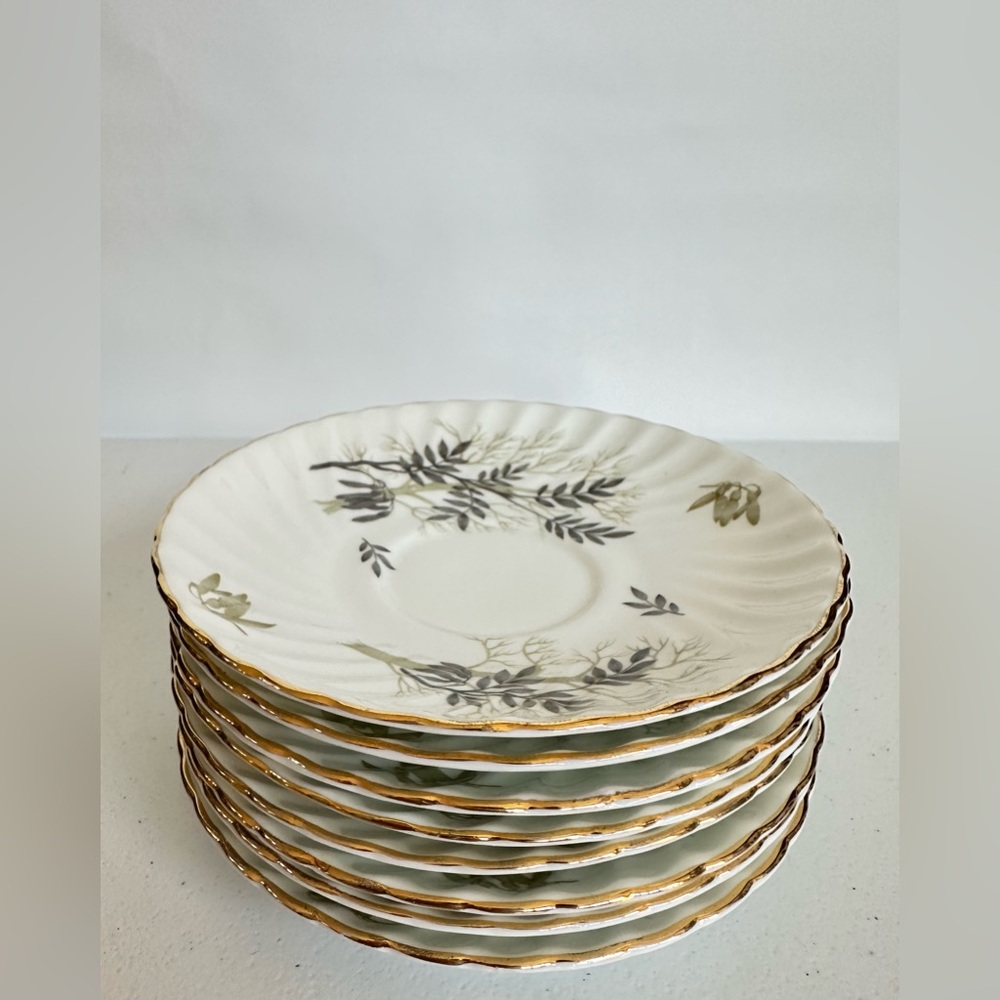 Adderley Tea Cup Saucer Plate Set of 8 (Discontinued) Fine Bone China